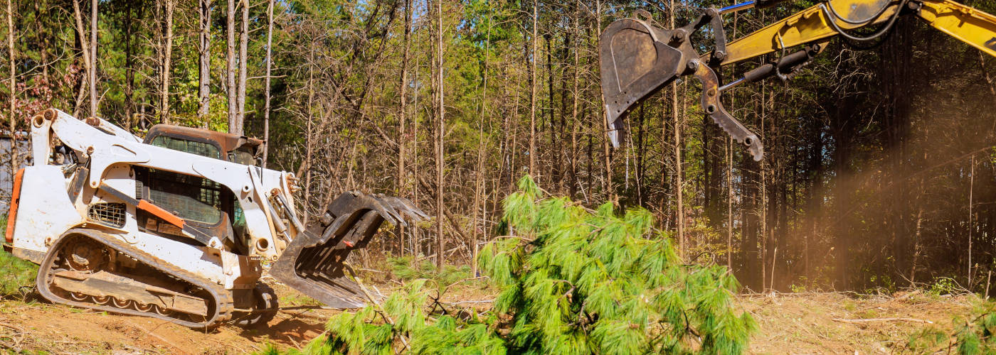 Featured Image for Helping Hands Relief Force LLC